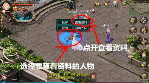 魔域新手入门指南:魔域恶魔城攻略大全